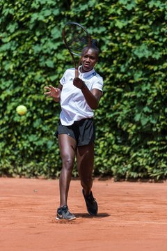 Bild 277 - BL2 THC von Horn und Hamm - Der Club an der Alster : Ergebnis: 0:9